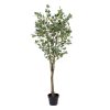 Planta Eucalipto Verde 80 X 75 X 173 Cm