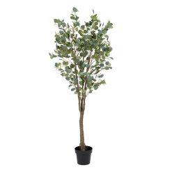 Planta Eucalipto Verde 80 X 75 X 173 Cm