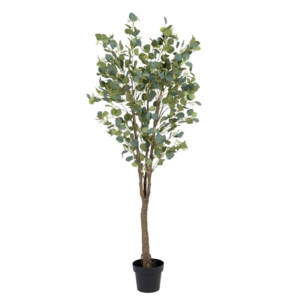 Planta Eucalipto Verde 80 X 75 X 173 Cm