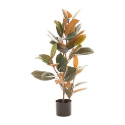 Planta Ficus Verde Escuro 36 X 37 X 90 Cm