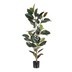 Planta Ficus Verde Escuro 49 X 45 X 125 Cm