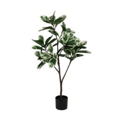 Planta Magnólia Verde-Branco Goma 120 Cm
