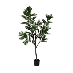 Planta Magnólia Verde-Branco Goma 150 Cm