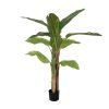 Planta Platânero Verde Goma Decoração 150 Cm
