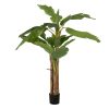 Planta Platânero Verde Goma Decoração 200 Cm