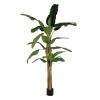 Planta Platânero Verde Goma Decoração 280 Cm