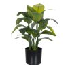 Planta Strelitzia Verde Artificial 40 X 30 X 70 Cm