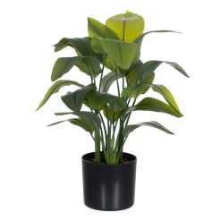 Planta Strelitzia Verde Artificial 40 X 30 X 70 Cm