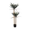 Planta Yuca Verde Goma Decoração 125 Cm