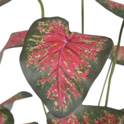 Alternative view of Rama Caladium Vermelho-Verde Pvc 39 X 34 X 44 Cm ( 2 unidades)
