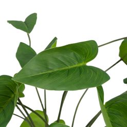 Alternative view of Rama Calla Verde Pvc 43 X 45 X 44 Cm ( 2 unidades)