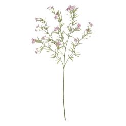 Rama Margarida Rosa 91 Cm ( 24 unidades)