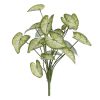 Rama Syngonium Verde Pvc 36 X 38 X 48 Cm ( 2 unidades)