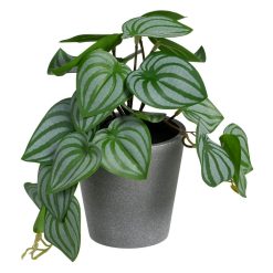 Vaso De Flores Photos Verde-Branco Pvc 25 X 21 X 21